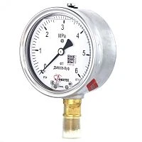 ДМ8008-ВУф 600 кПа кт.1,0 M20х1,5 IP65 Б-110 ГЛИЦЕРИН УТ-00001026