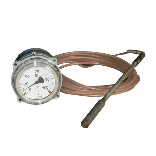 ТГП-100Эк-М1-(0...+300)°С-1,0-4-250 УТ000017458